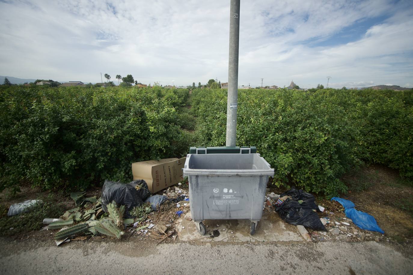 Fotos: Crecen las quejas por la falta de limpieza en Murcia