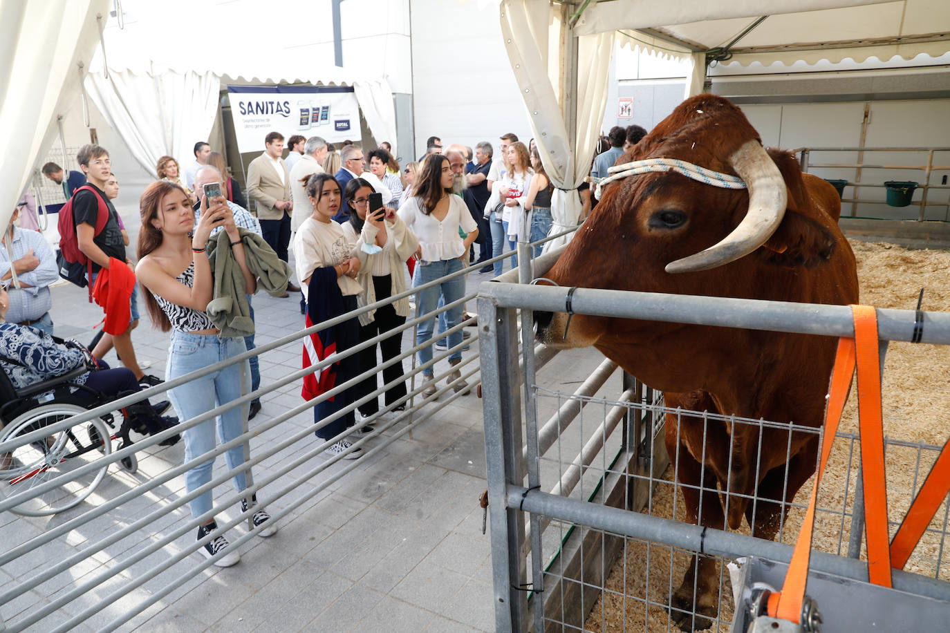 Fotos: Inauguración de la feria ganadera y agroalimentaria Sepor en Lorca