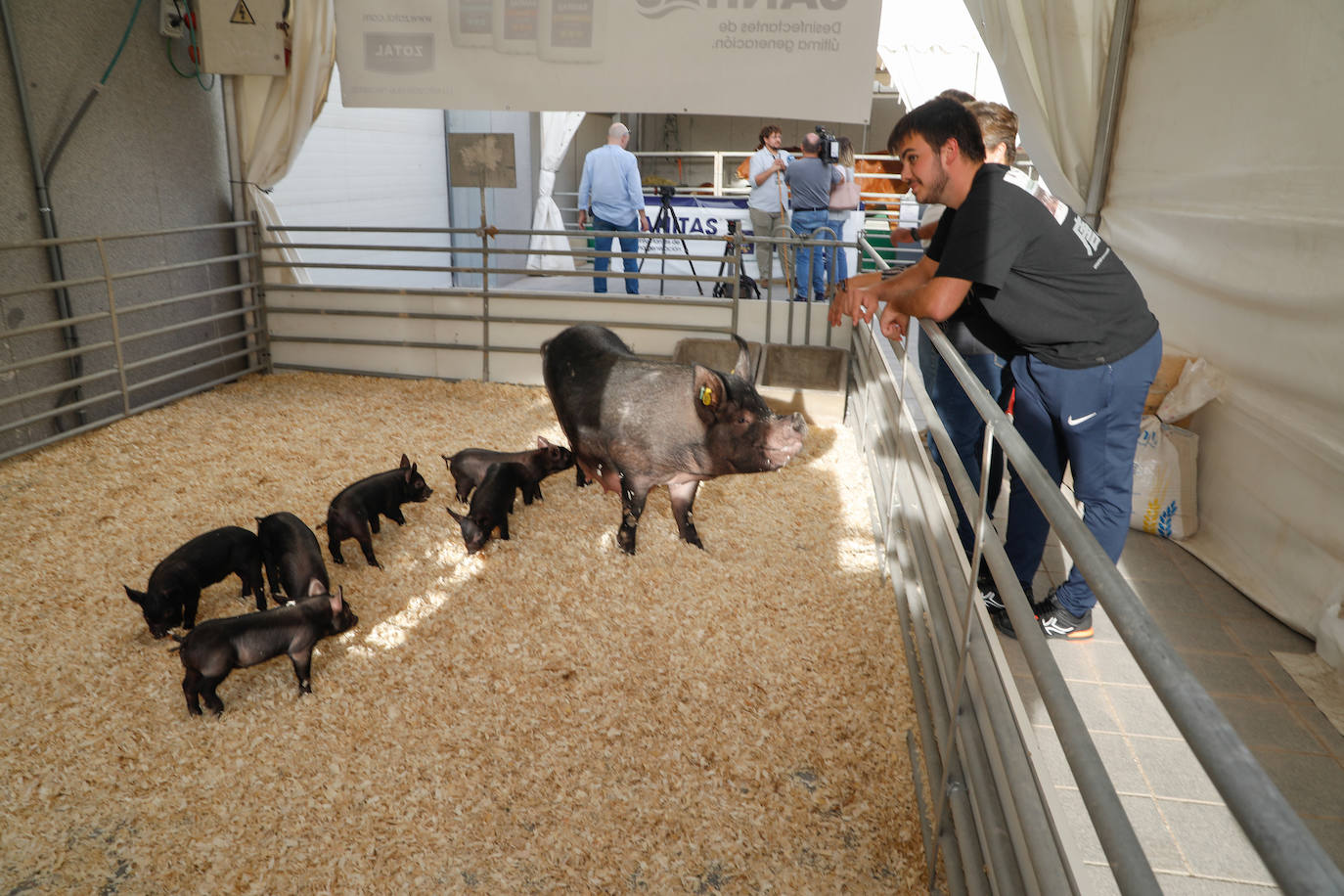 Fotos: Inauguración de la feria ganadera y agroalimentaria Sepor en Lorca