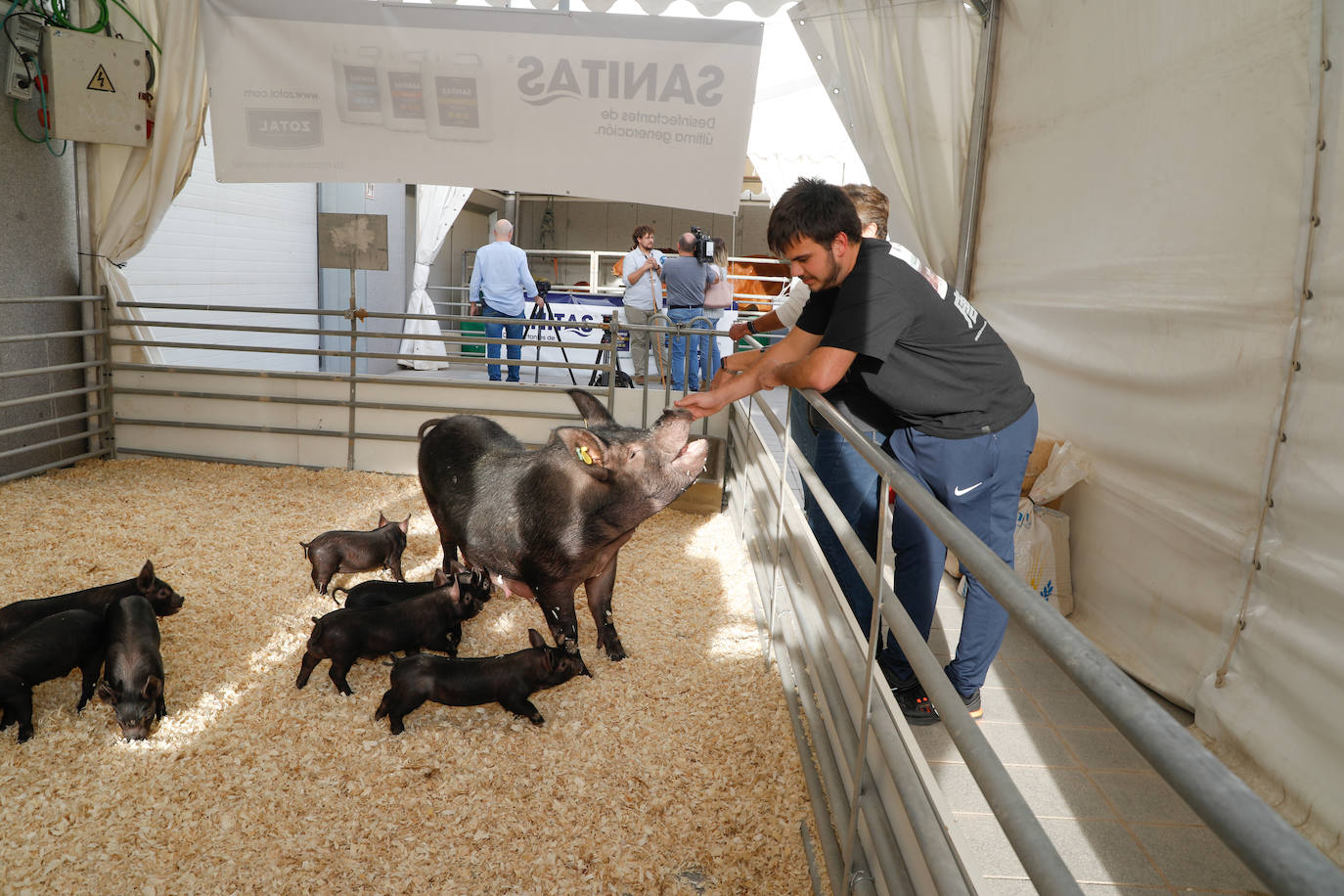 Fotos: Inauguración de la feria ganadera y agroalimentaria Sepor en Lorca