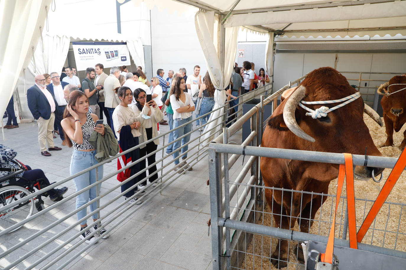 Fotos: Inauguración de la feria ganadera y agroalimentaria Sepor en Lorca