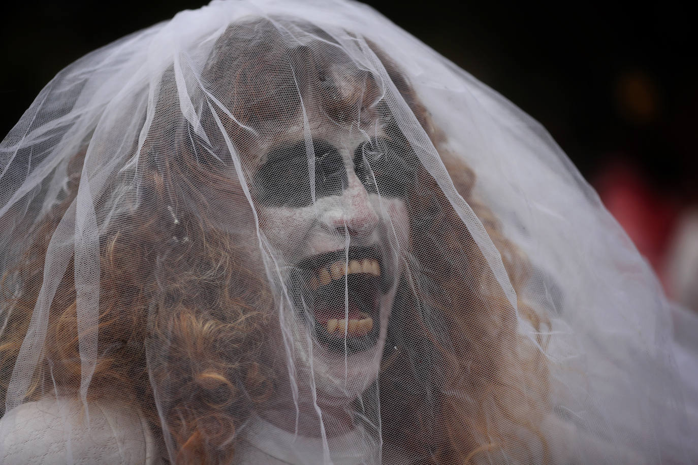 Fotos: Apocalipsis zombie en México