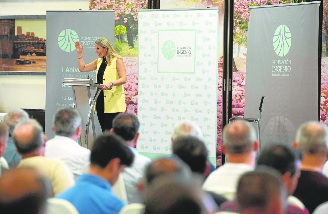 La directora de la Fundación Ingenio, Natalia Corbalán, durante su intervención en la asamblea del pasado miércoles. 