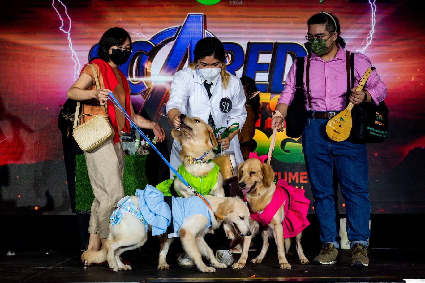 Fotos: Halloween para mascotas