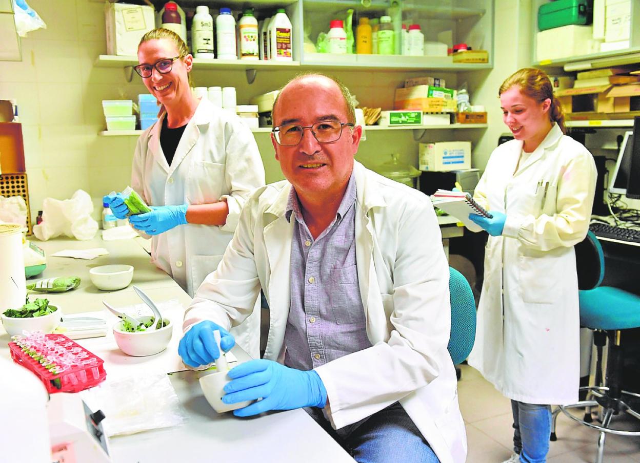 Francisco García, investigador del grupo de Nutrición Vegetal del CEBAS-CSIC. 