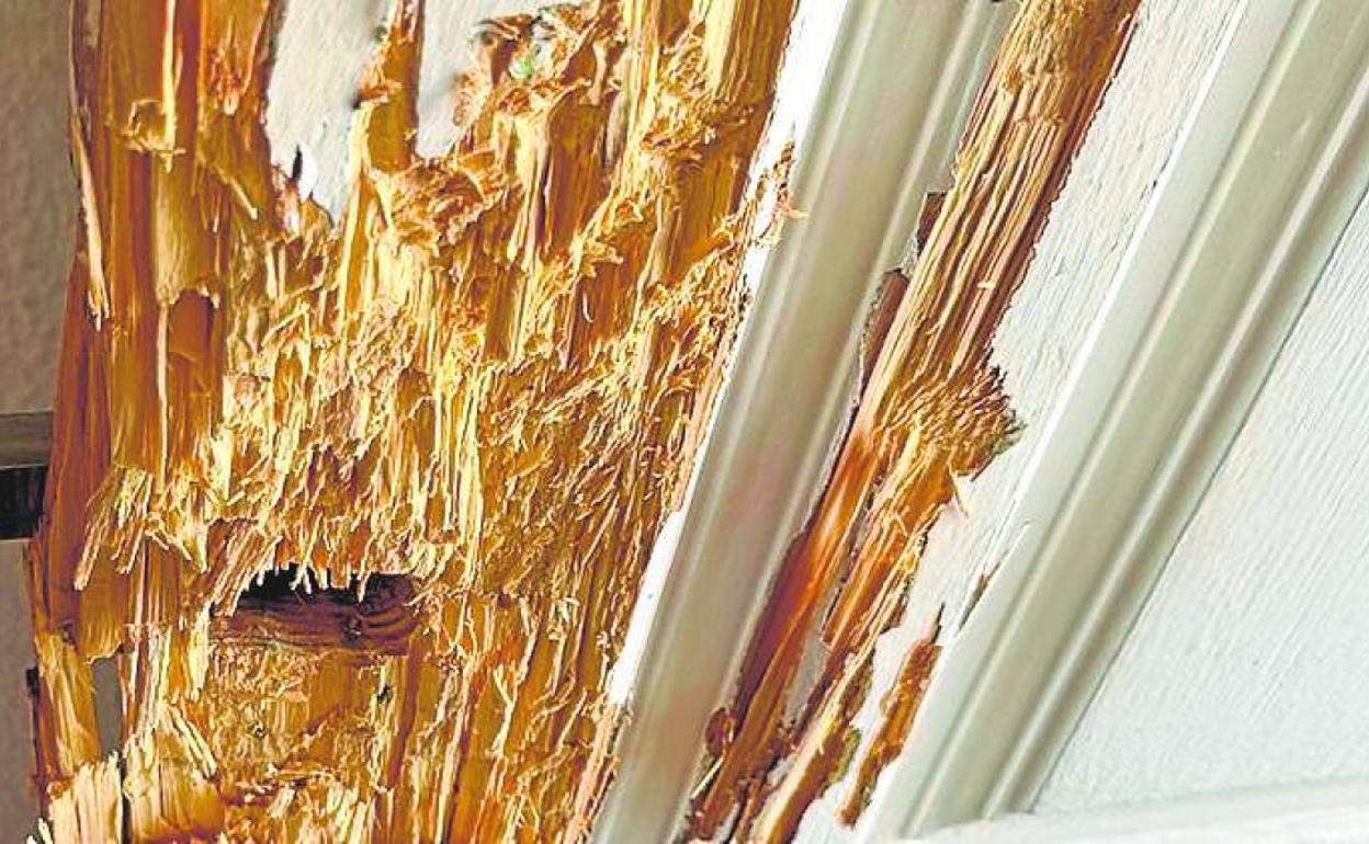 Estado en el que quedó la puerta de entrada a la vivienda.