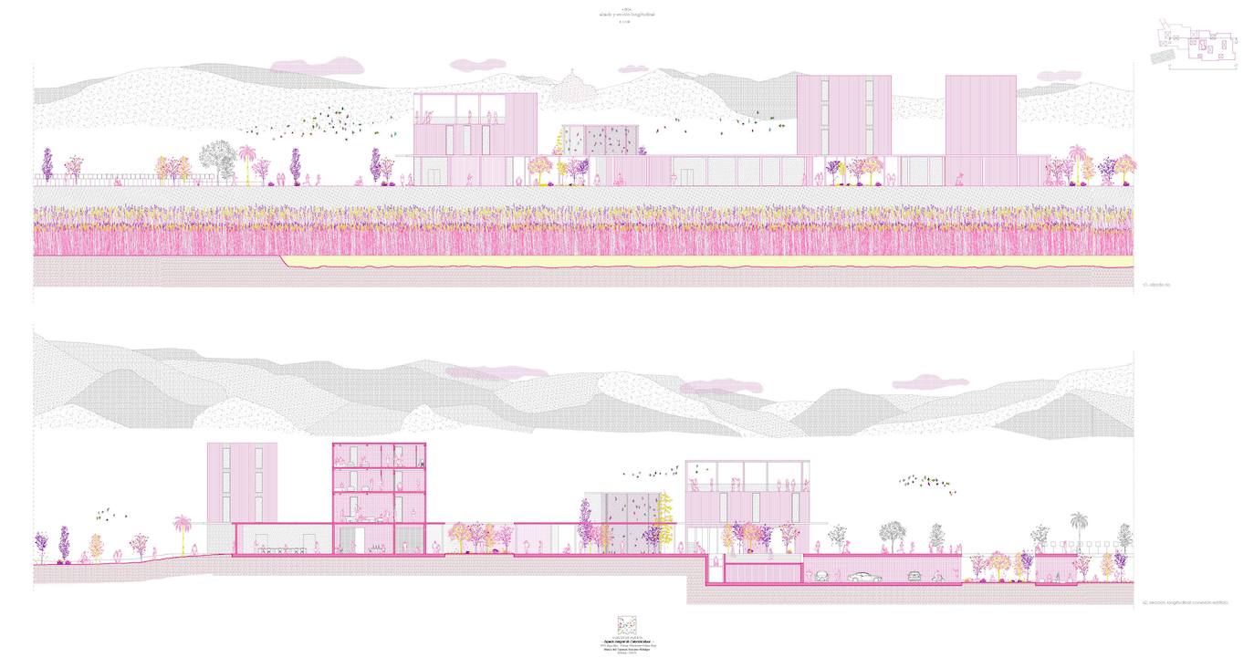 Fotos: Simbiosis arquitectónica entre palomo y hombre, en imágenes
