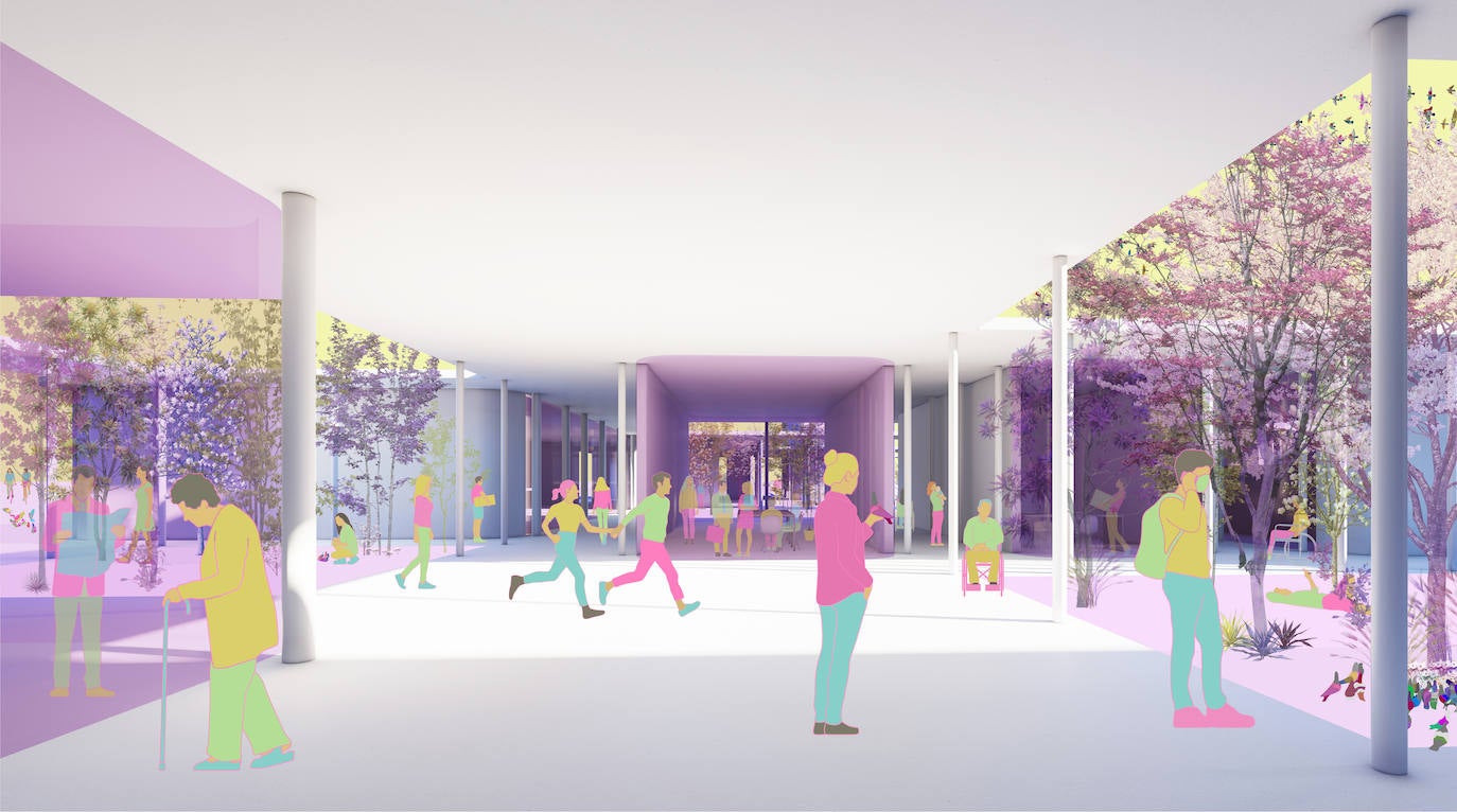 Fotos: Simbiosis arquitectónica entre palomo y hombre, en imágenes