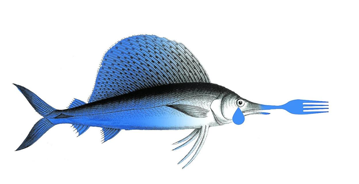 Cuando fuimos príncipes del omega 3