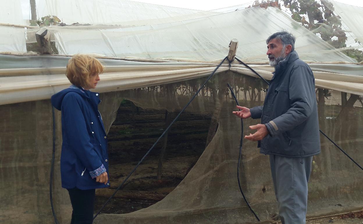 Aniceto del Vas muestra a la concejal del PP los daños en su finca. 