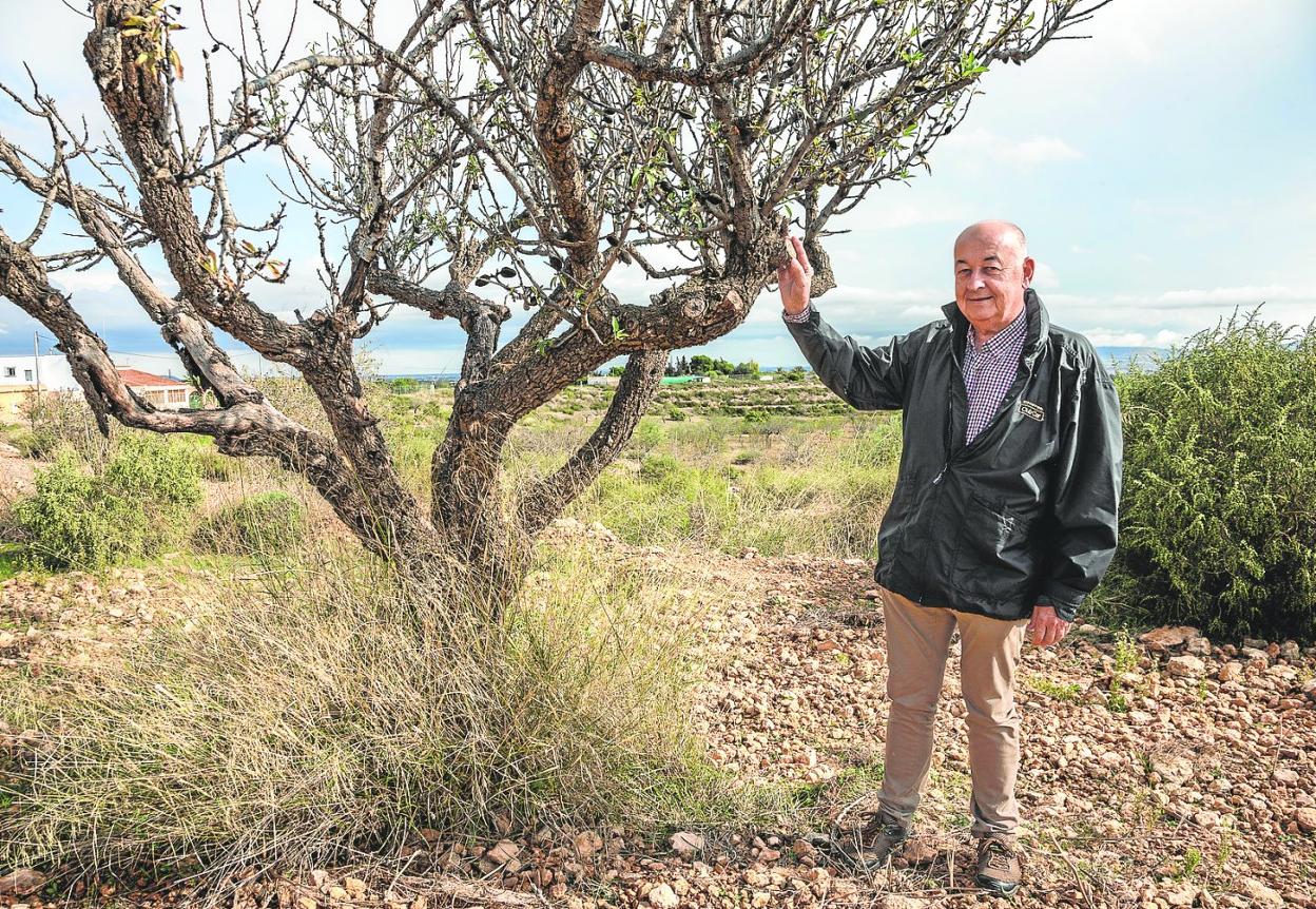 Eloy Celdrán, en un paraje del Campo de Cartagena. 