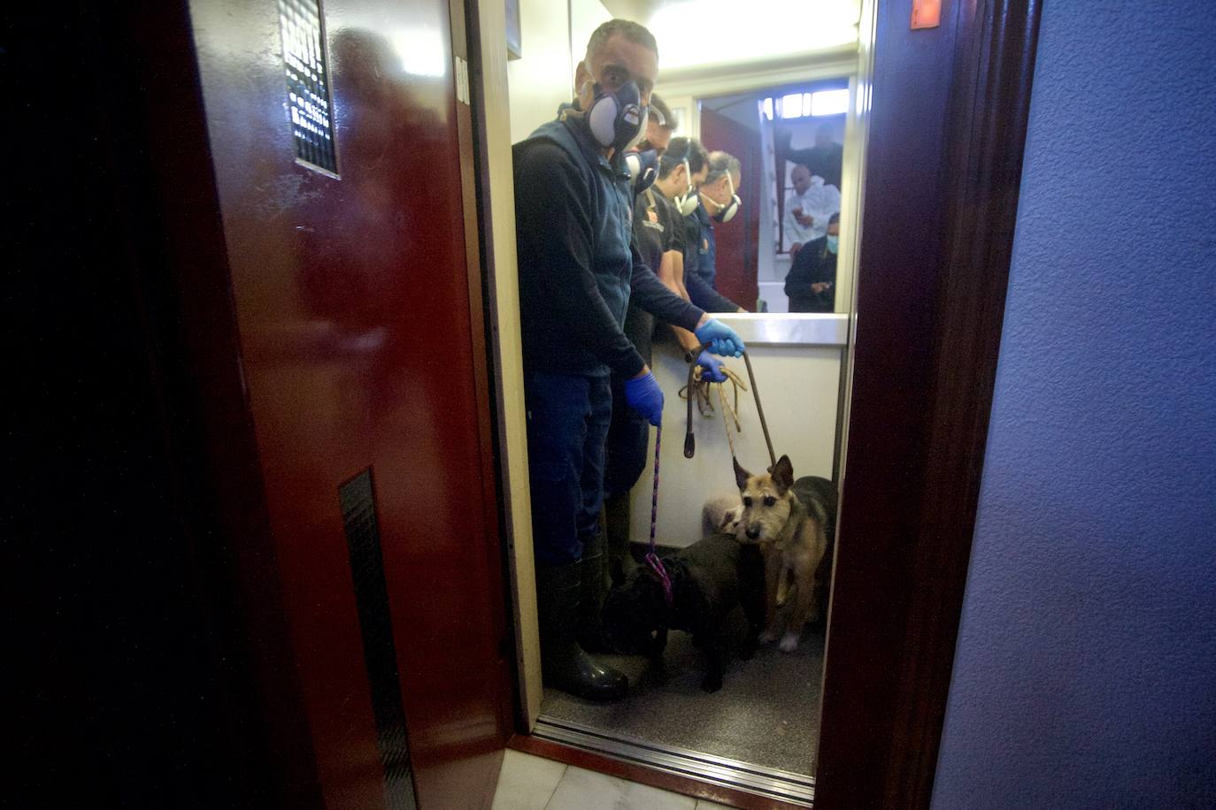 Fotos: Desinfectan un piso en Beniaján donde se acumulaban heces y basuras