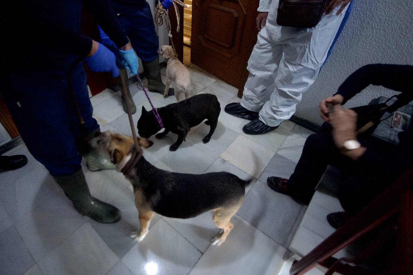 Fotos: Desinfectan un piso en Beniaján donde se acumulaban heces y basuras