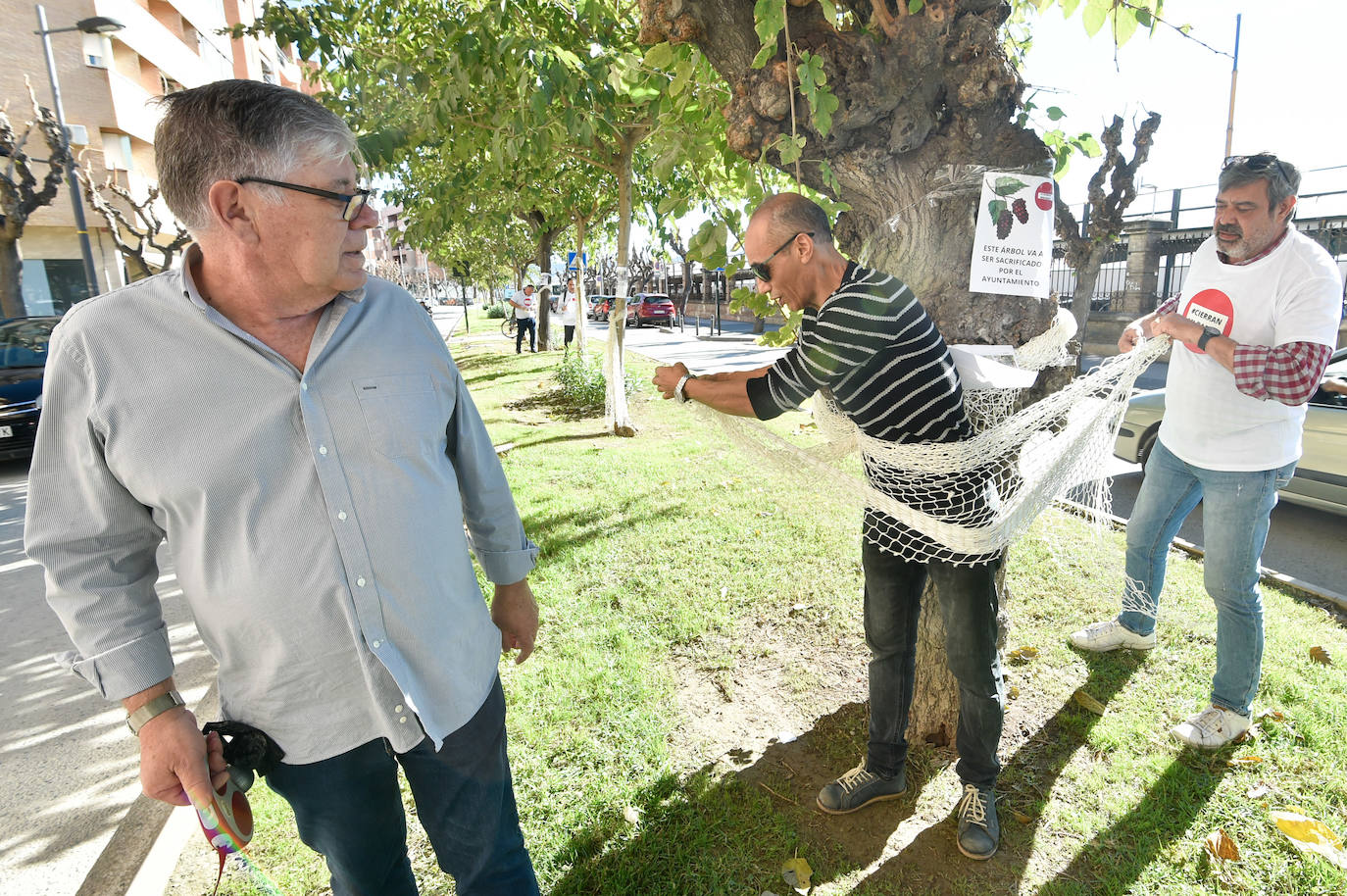 Fotos: Vecinos del barrio del Carmen se atan a moreras para protestar por el plan de movilidad