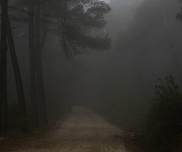 Sierra Espuña. Fue declarada sitio natural de interés nacional y protegida como Parque Regional.