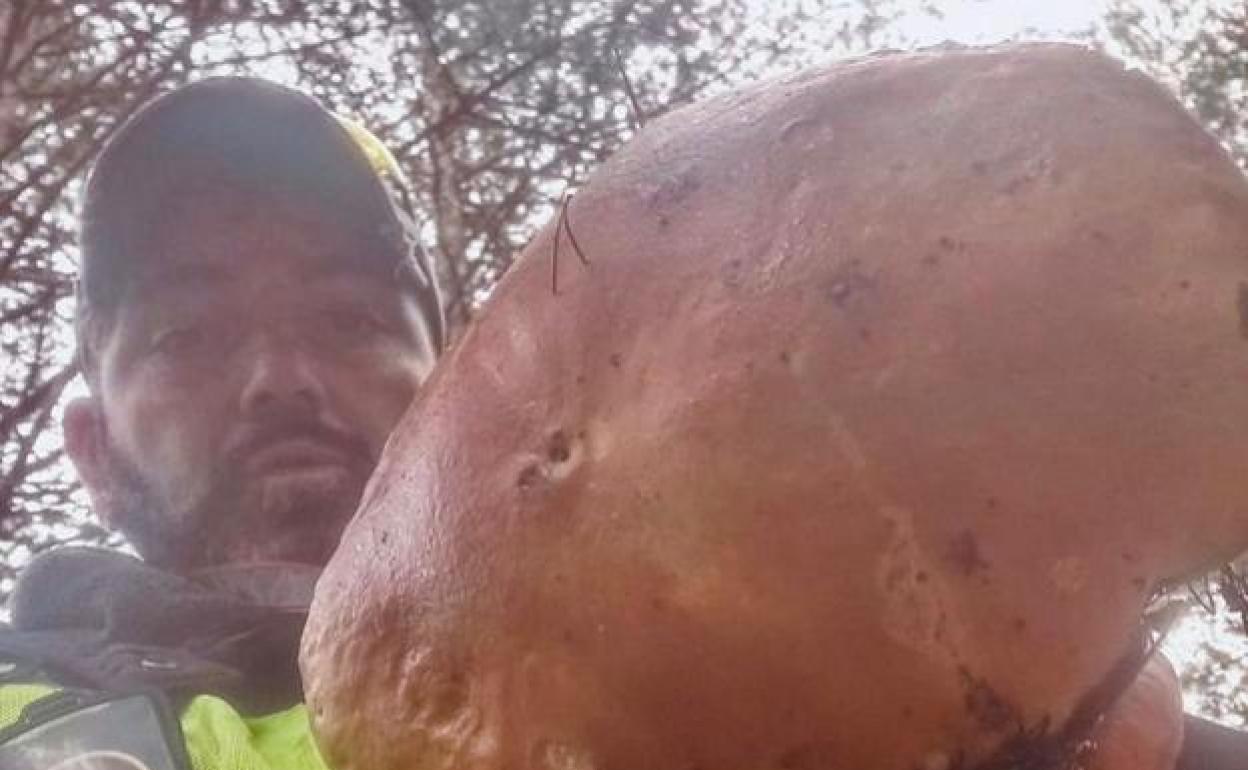 Sergio Soto posa con el enorme boletus edulis encontrado en los montes de Ezcaray.