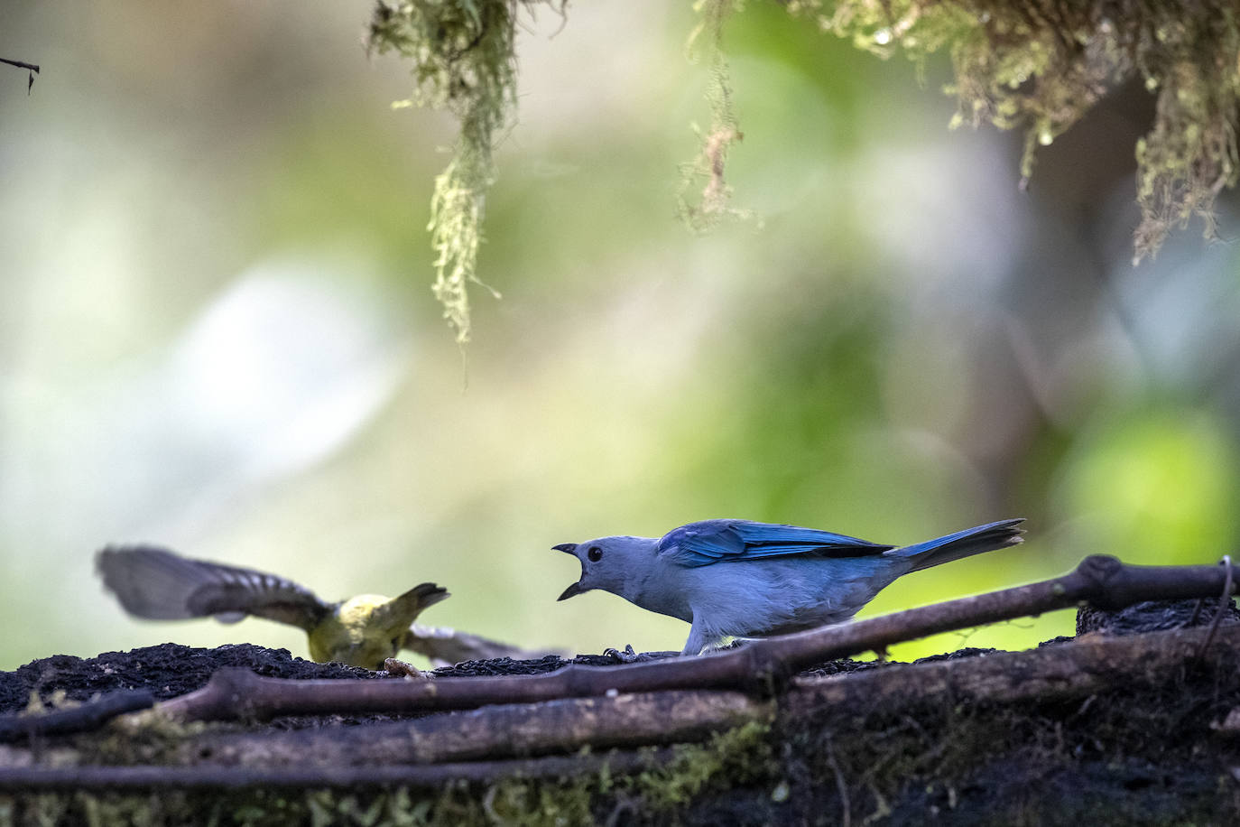 Fotos: Paraíso del &#039;birdwatching&#039;