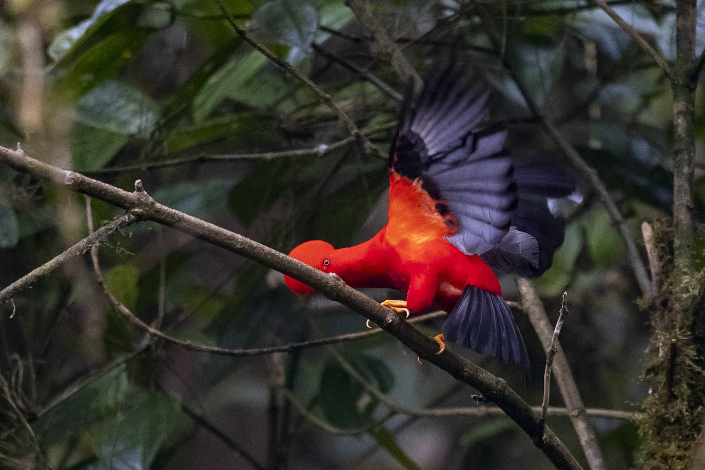 Fotos: Paraíso del &#039;birdwatching&#039;