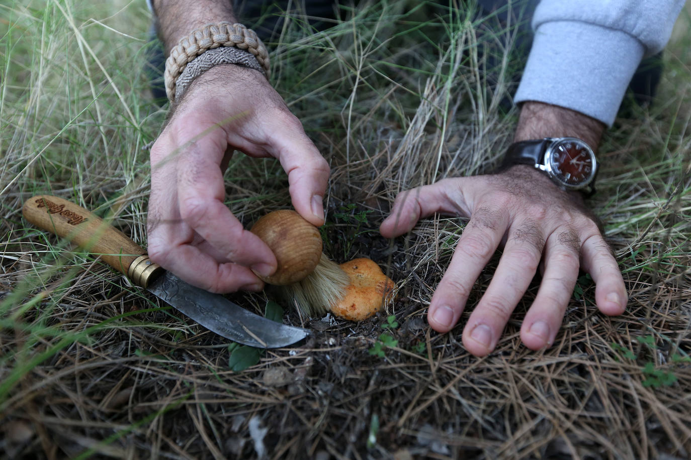 Fotos: Un tesoro culinario en la montaña de Moratalla