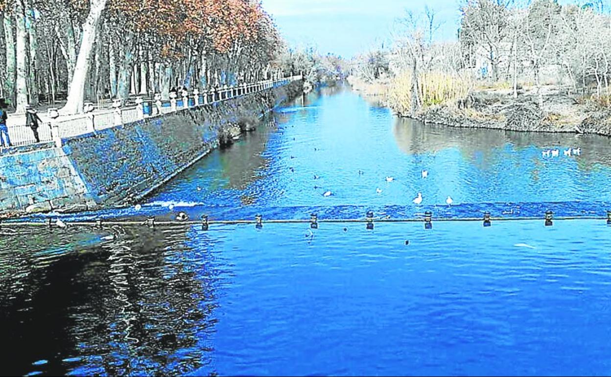 El río Tajo a su paso por Aranjuez, una de las zonas de referencia para establecer los caudales ecológicos. 