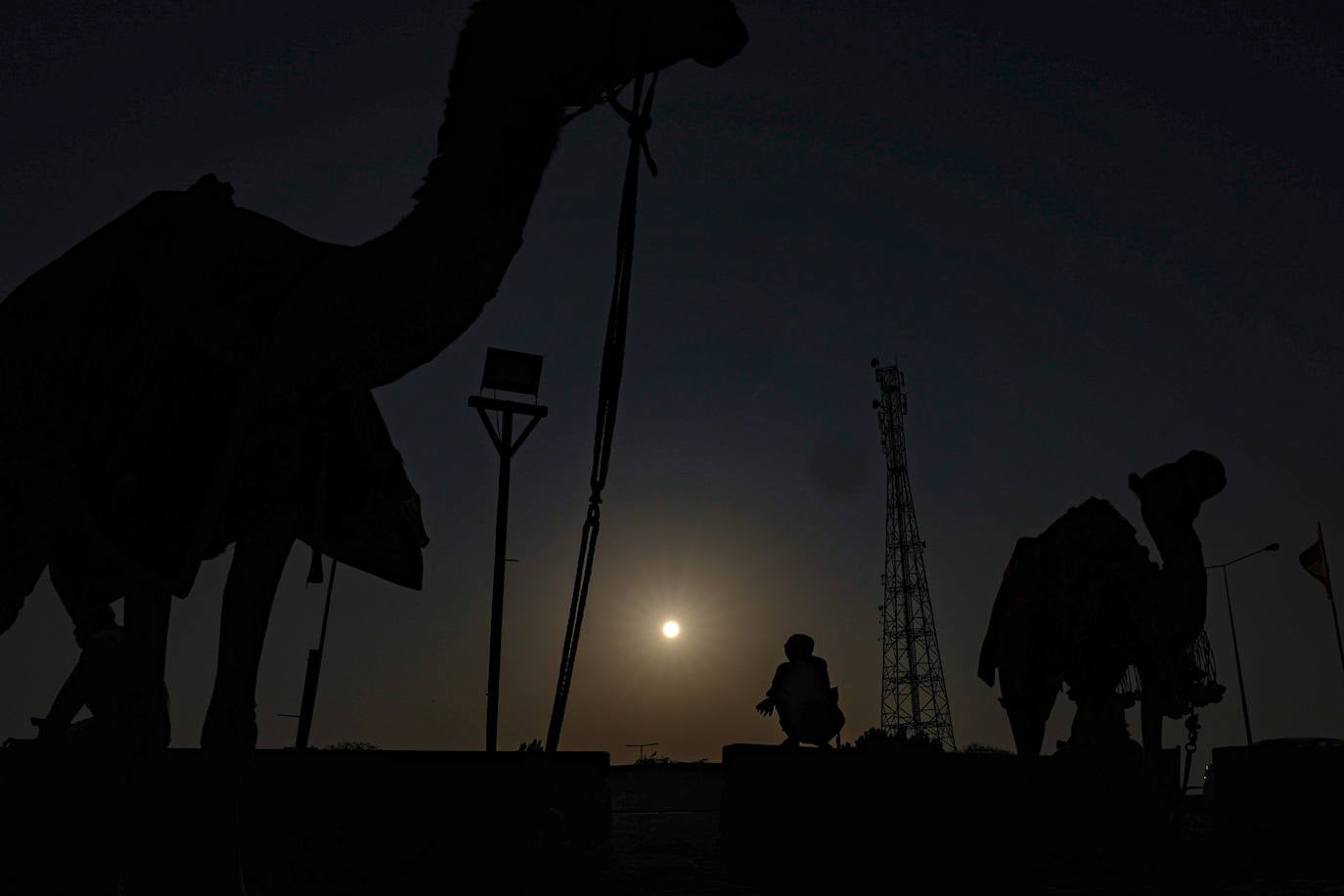 Fotos: Paseos en camello