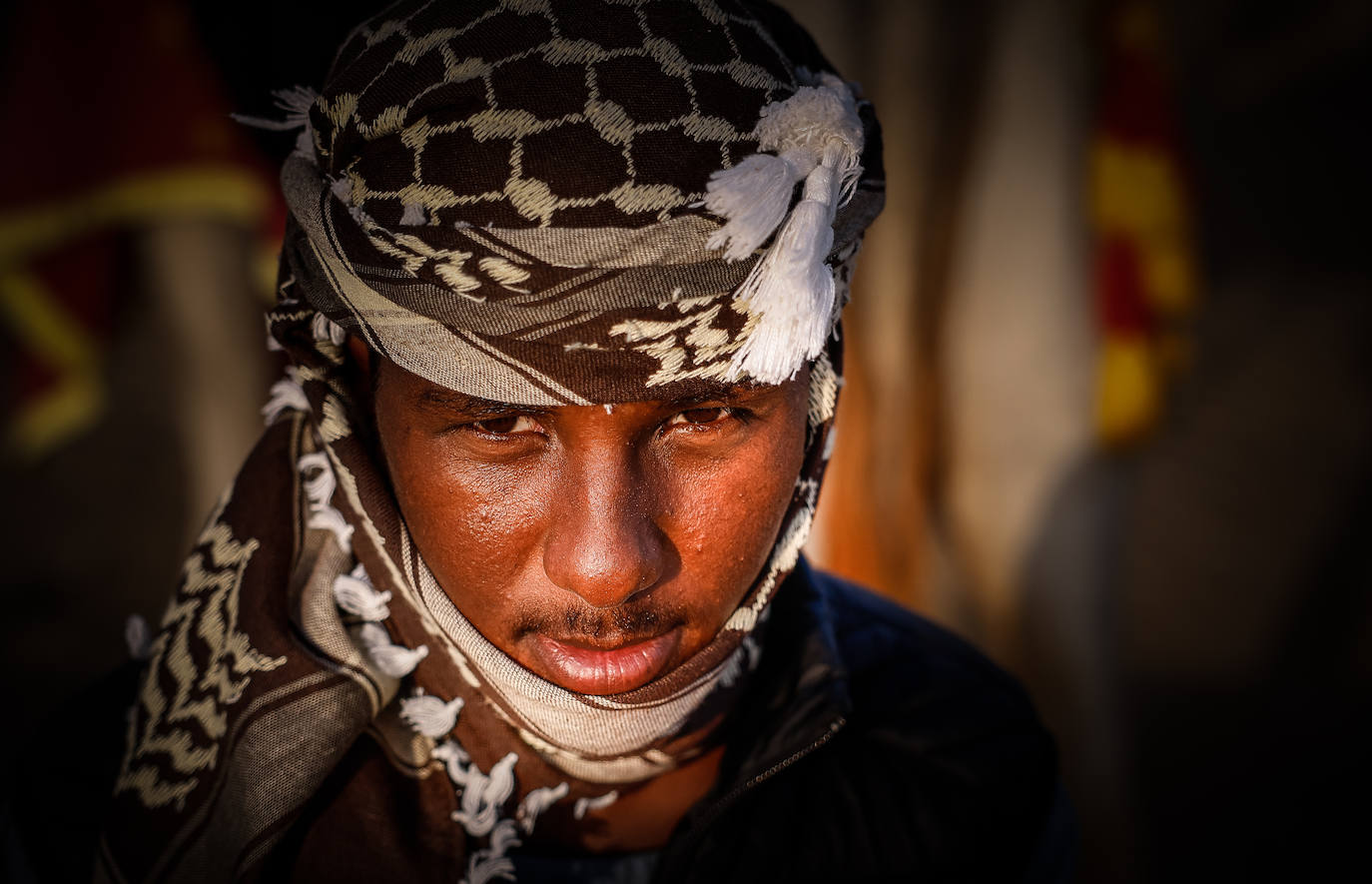 Fotos: Paseos en camello