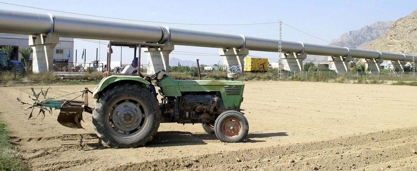 Un agricultor de la Vega Baja labra sus tierras junto a la tubería del Trasvase, en una imagen de archivo.