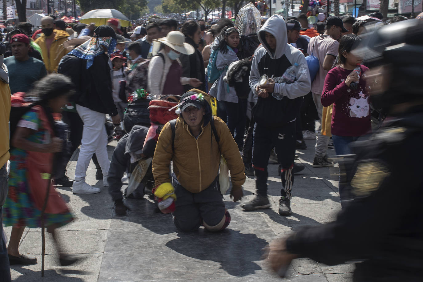 Fotos: Rendidos a la Virgen de Guadalupe