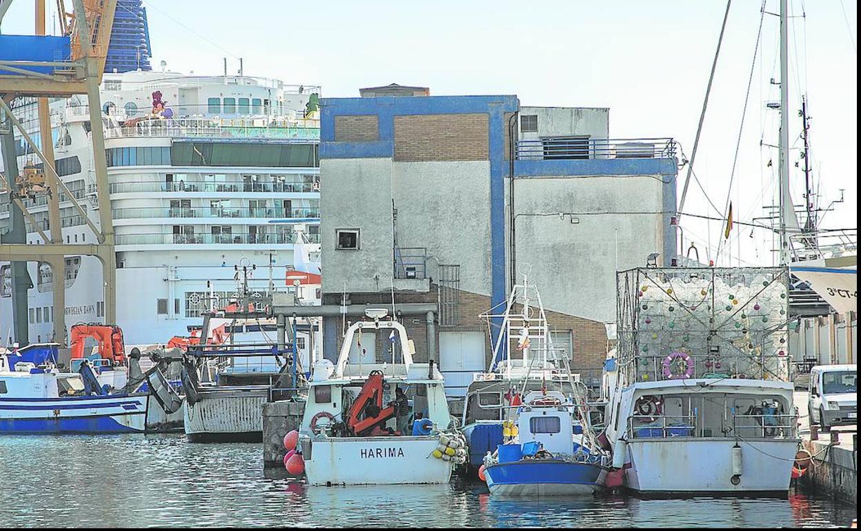 Varios barcos pesqueros atracados en el puerto de Santa Lucía, en Cartagena. 