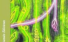 La belleza floral de las matemáticas