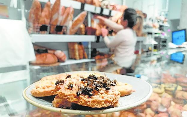 Las abejas han hecho acto de presencia en locales como la panadería D'Buena Miga, en Jaime I. 