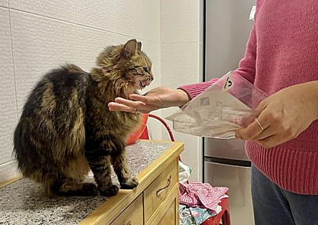 Imagen secundaria 1 - El regreso de &#039;Pipa&#039; después de 13 meses y 20 kilómetros de travesía