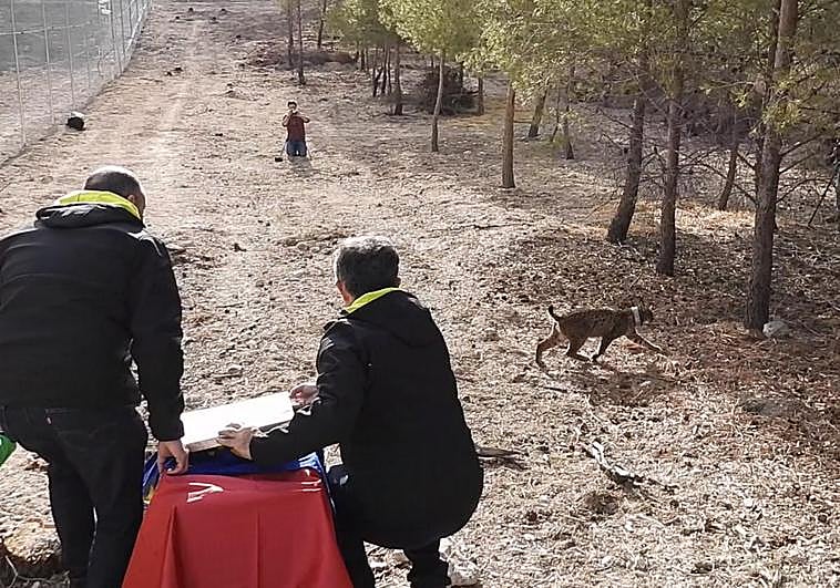 Liberación de 'Tejo', este martes.