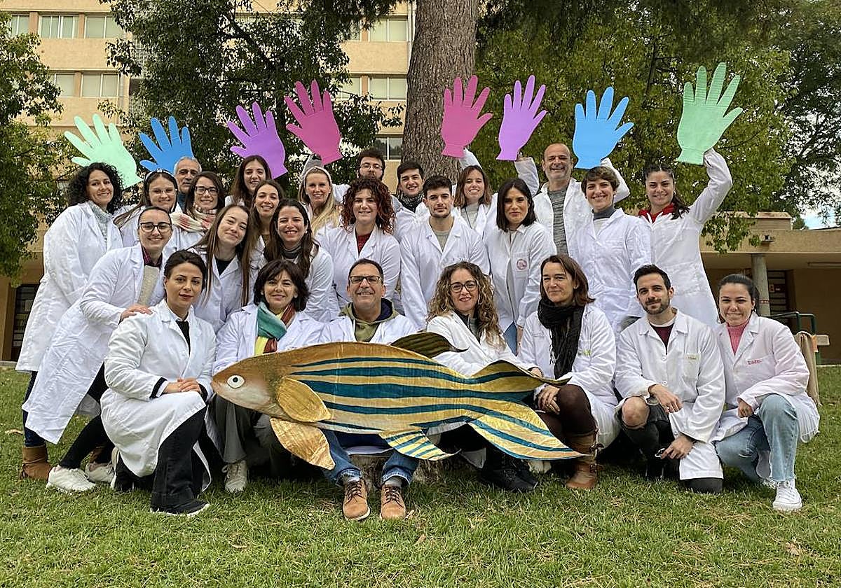 El grupo de investigación UMU-IMIB.