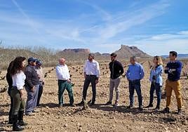 El consejero Antonio Luengo visita una finca jumillana de viñedo viejo donde anunció la nueva línea de ayudas.