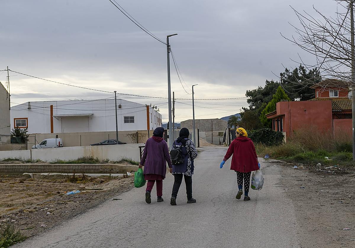 Tres moradoras de la citada nave, ubicada al fondo, vuelven a casa.