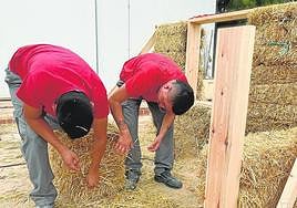 Alumnos aprenden a colocar tabiques de paja en una pared.