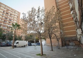 La suciedad es una de las principales preocupaciones de los vecinos de La Paz