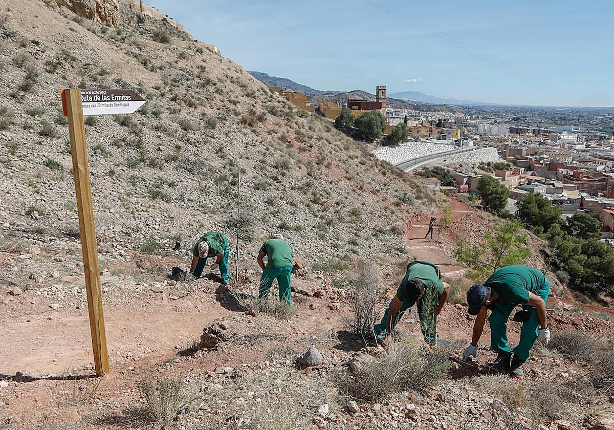Trabajadores de los consejos comarcales de empleo ultiman el nuevo tramo de la Ruta de las Ermitas.