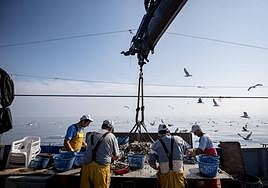 Pescadores sacando basura del mar.