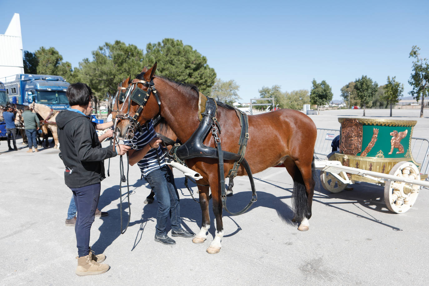 Más de 400 caballos preparados en Lorca para la carrera