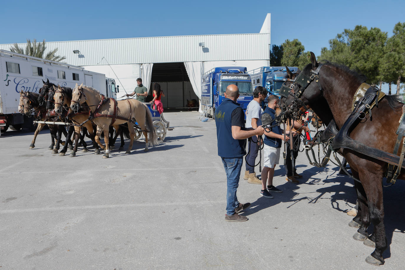 Más de 400 caballos preparados en Lorca para la carrera