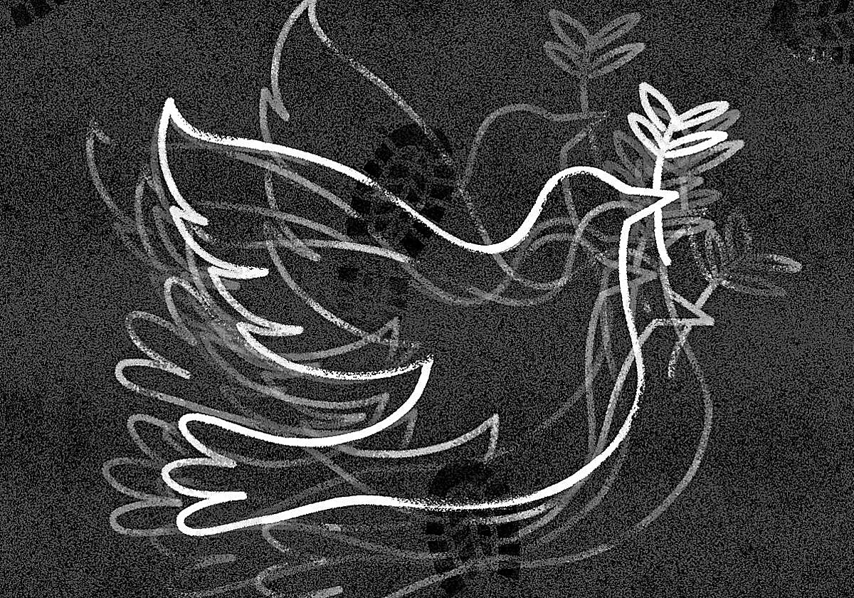 Nunca digas nunca más