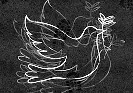 Nunca digas nunca más