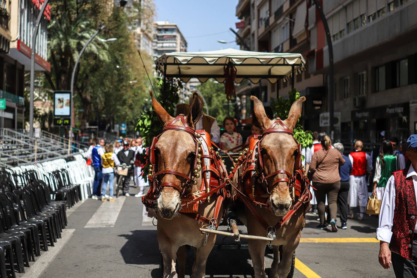 Las imágenes del ambiente festivo que inunda las calles en el Bando de la Huerta