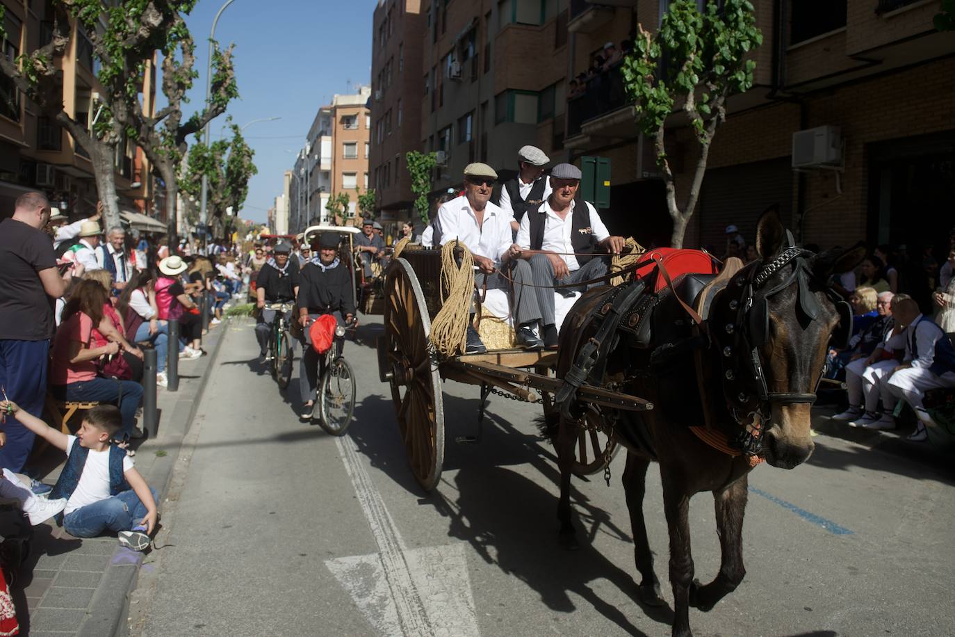 El desfile del Bando de la Huerta, en imágenes