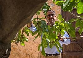 De tronco hueco. Juan Martínez Tomé, junto al árbol original, en el huerto de la casa-museo del poeta.