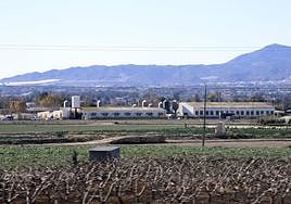 Terreno agrícola en Lorca, en una imagen de archivo.