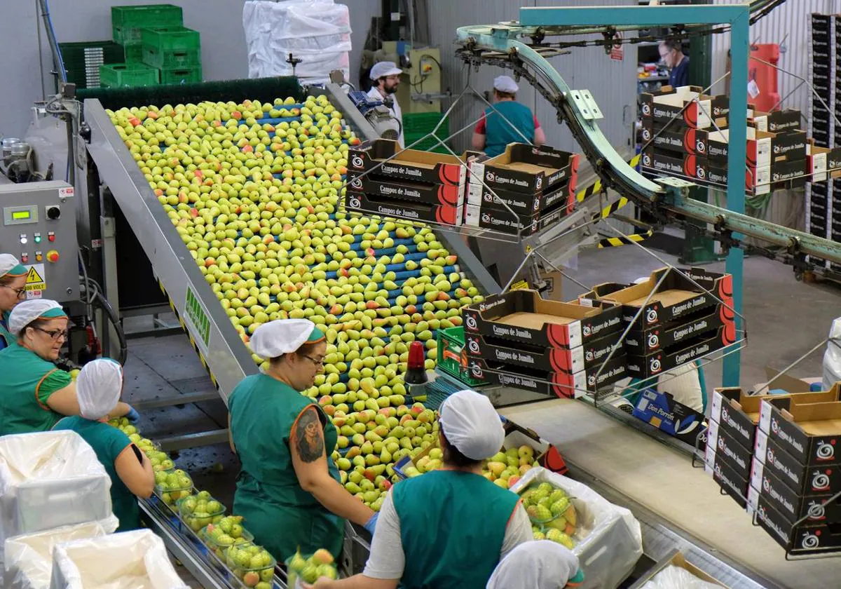 La industria alimentaria de la Región de Murcia intensifica su peso  internacional y logra la mayor facturación media | La Verdad