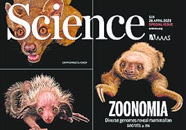 Portada de 'Science'.